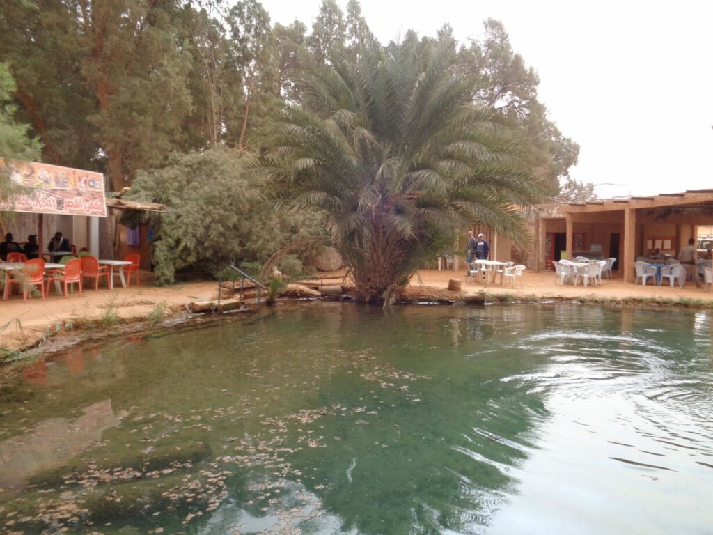 oasis tunisie