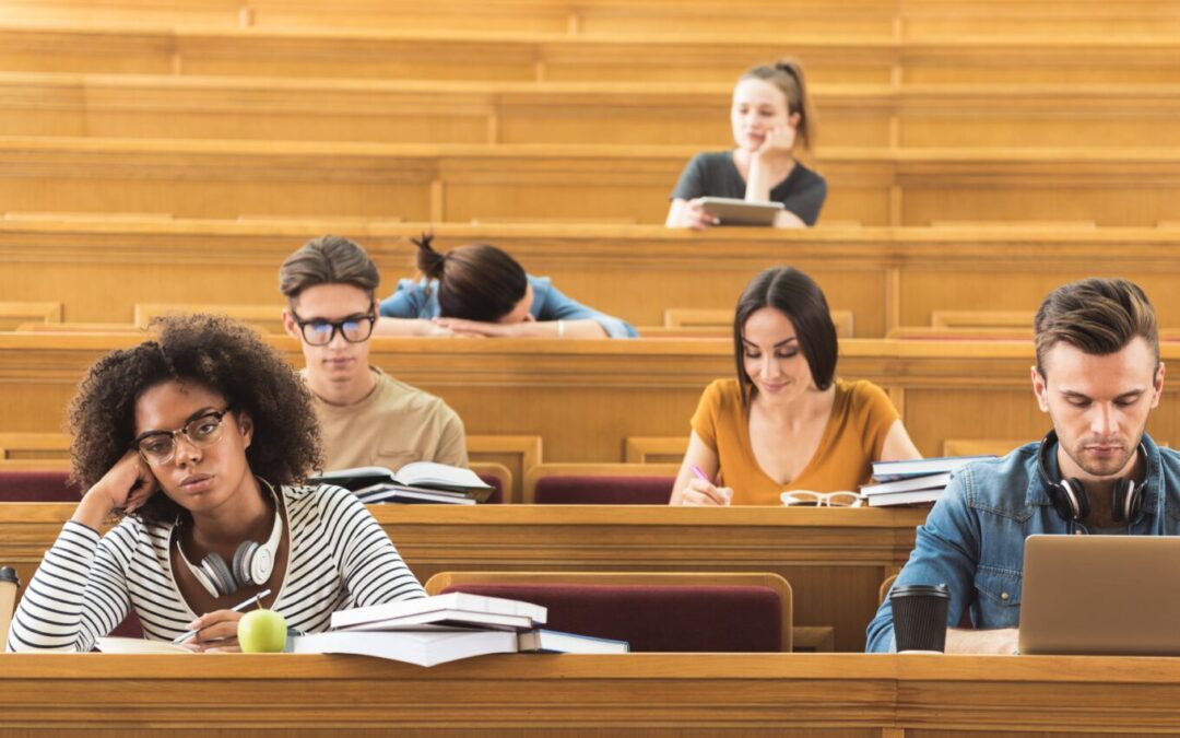 Apprendre à argumenter en BTS